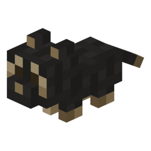 cat_baby