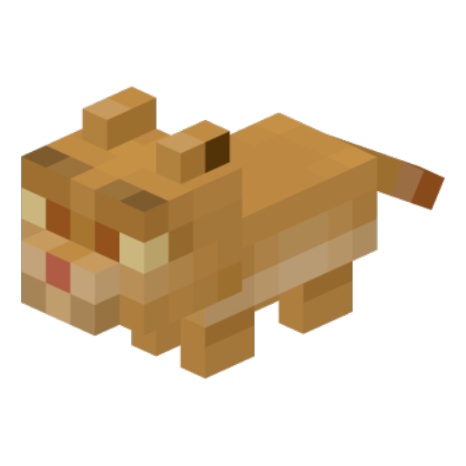 cat_baby
