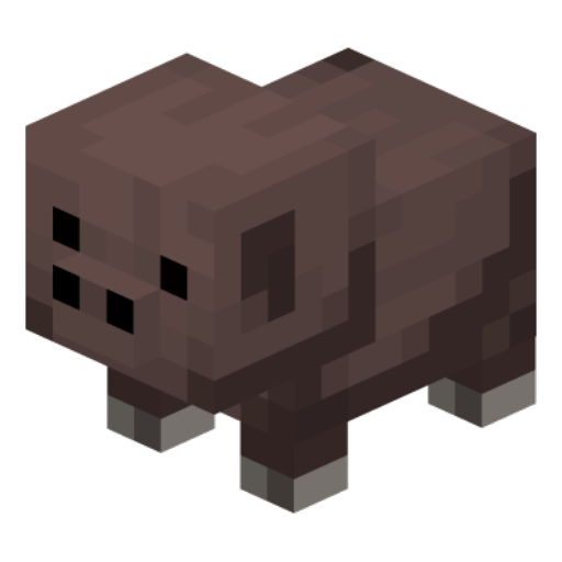 pig_baby