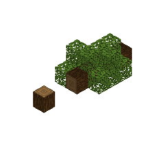 fallen_tree_3