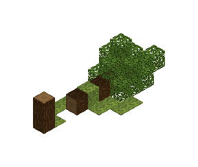 fallen_tree_4