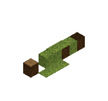 fallen_tree_6