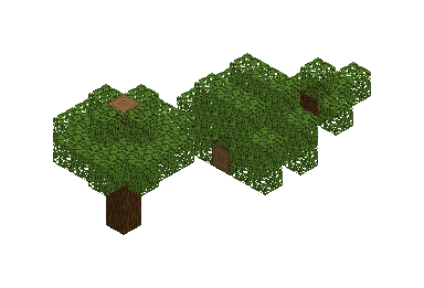 fallen_tree_7